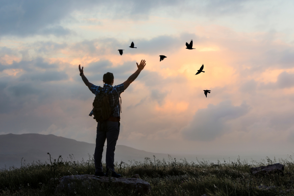 Liberal Alliance Hørsholm 